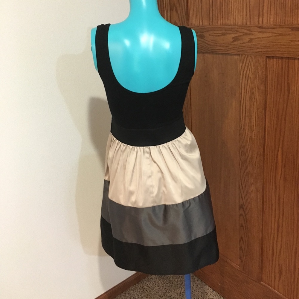 Striped Dress - Picture 3 of 3